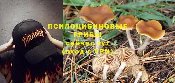 прущие крисы Алзамай