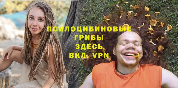 ALPHA PVP Алексеевка