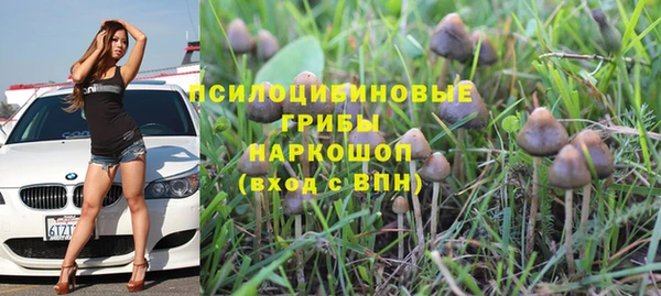 не бодяженный Михайловск