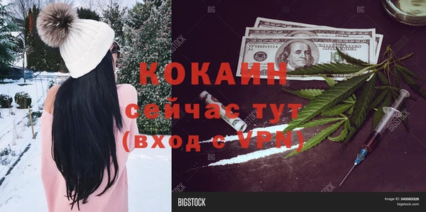 прущие крисы Алзамай