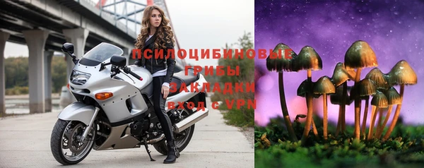 ALPHA PVP Алексеевка