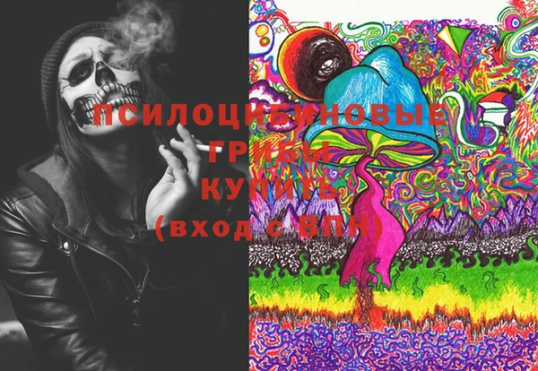 гидропоника Михайлов