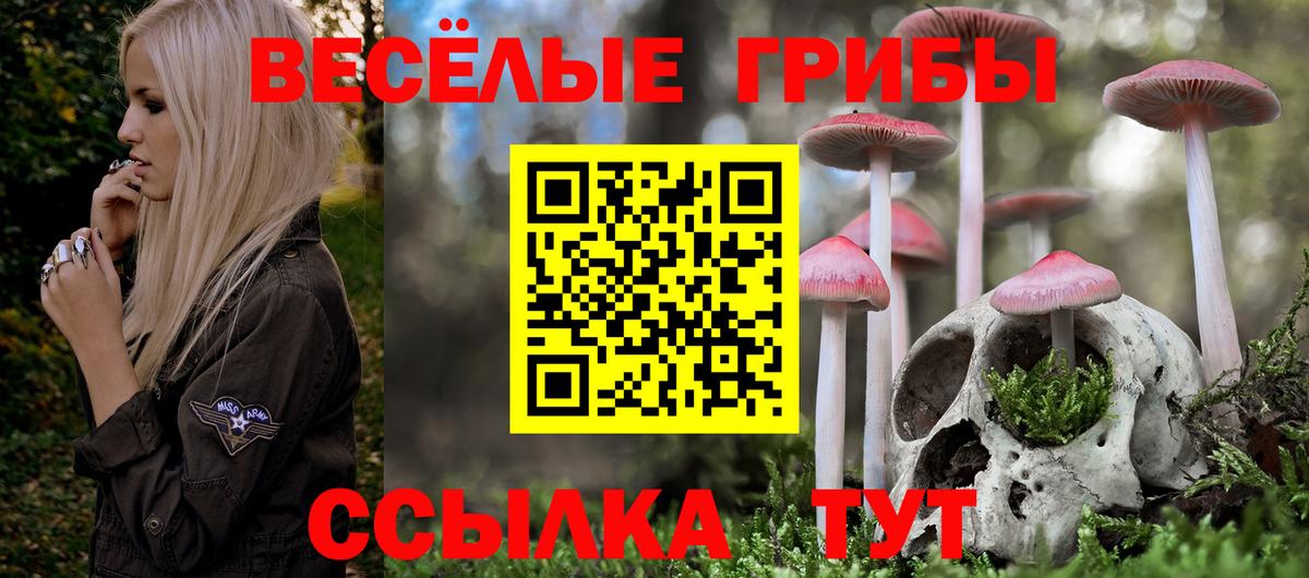 Ижевск  Галлюциногенные грибы GOLDEN TEACHER  Вход с VPN 