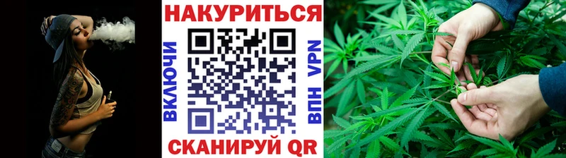 Конопля гибрид  купить наркотик  Ижевск 